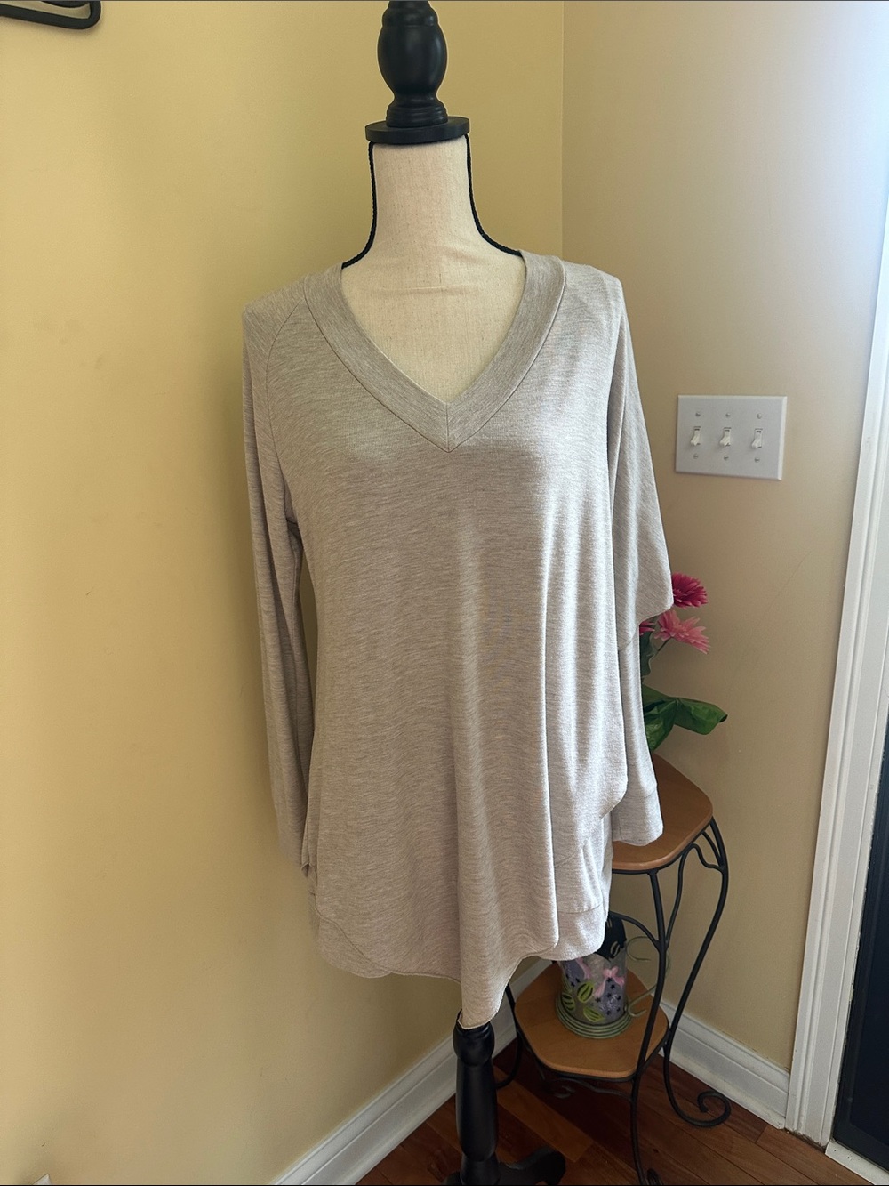 Soft Surroundings Light Taupe V-Neck Long Sleeve Top